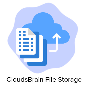 Click2Cloud Blog- Use File Storage via Clouds Brain
